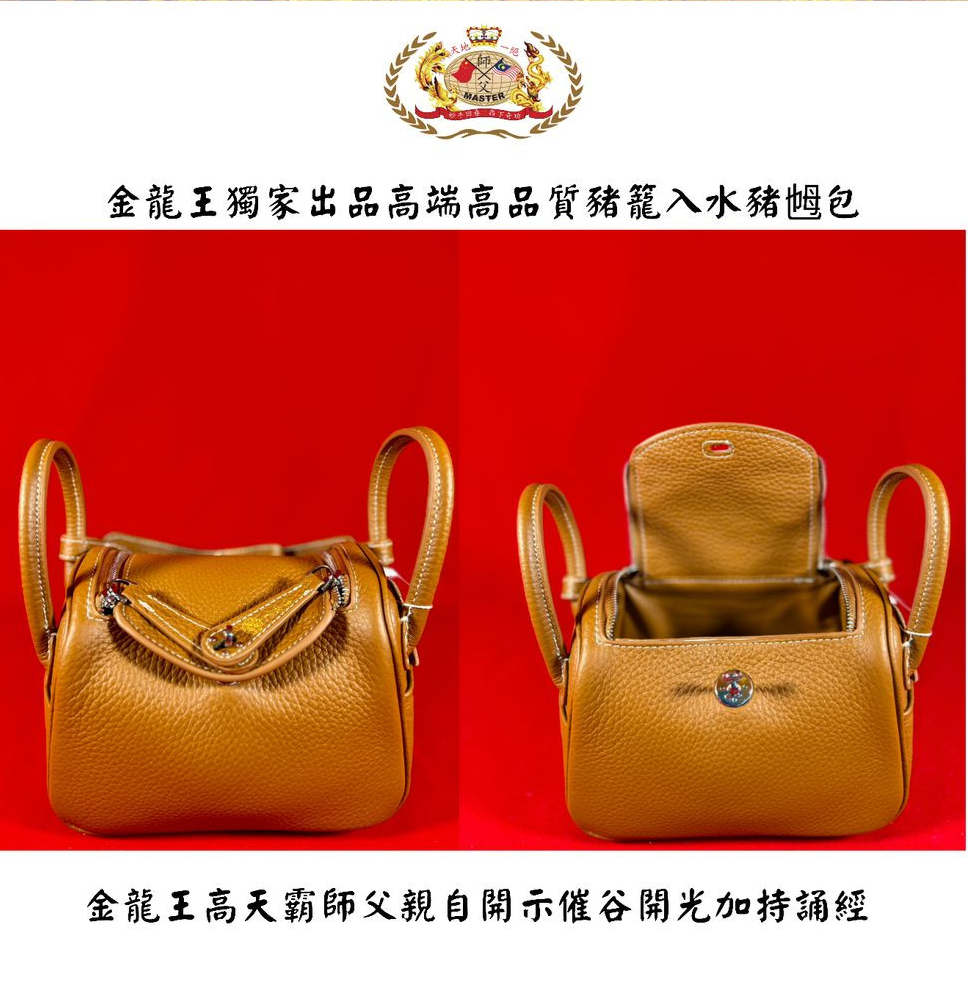 【小号】袔色 高贵高端特强猪笼入水手提猪乸包 Elegant & extra-strength Wealth-roll-in handbag